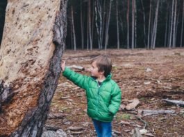 Educar sobre el cambio climático a los niños aumenta la preocupación por el medio ambiente en sus padres