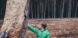 Educar sobre el cambio climático a los niños aumenta la preocupación por el medio ambiente en sus padres