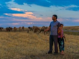 ¿Podrían los juegos de computadora ayudar a los agricultores a adaptarse al cambio climático?