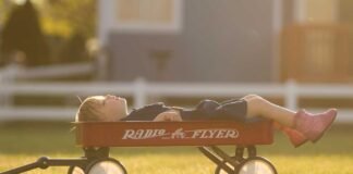 Habilidades no cognitivas: la clave oculta del éxito académico