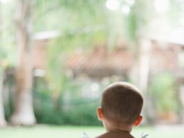 La creatividad comienza en la cuna