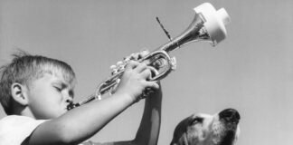 Una nueva investigación revela cómo el TDAH fomenta una creatividad extraordinaria.